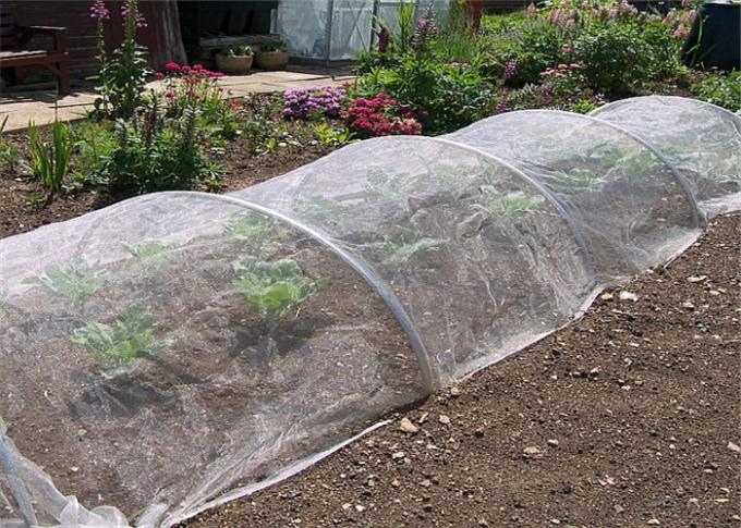 Reticolato del giardino della prova dell'insetto di Agricultura dell'HDPE, reticolato di protezione della maglia dell'insetto della maglia 20-100