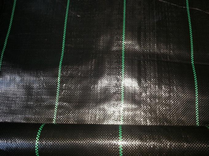 Copertura al suolo di plastica tessuta polipropilene, tessuto del giardino del nero 100gsm di 4.2x100m