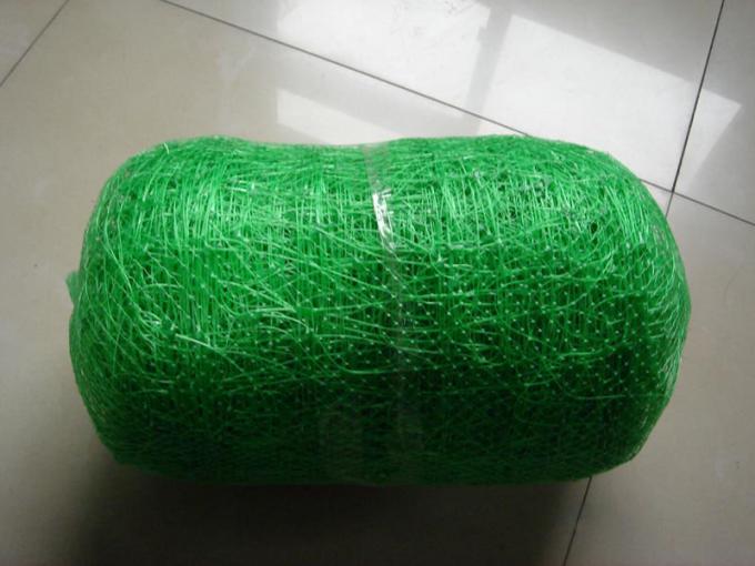 la rete rampicante di sostegno della pianta di 2m*10m per il pisello/fagiolo ha imballato nel sacchetto di plastica
