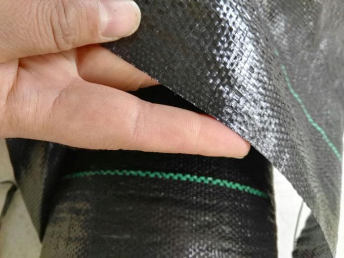 Tessuto nero vergine del diserbo di 100% pp per legare della serra resistente/stampa resistente