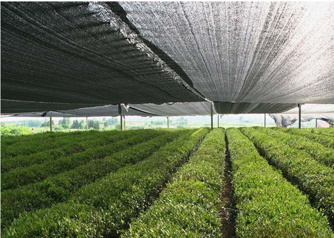 L'iso resistente uv d'agricoltura agricolo del tasso del panno 90gsm 80% dell'ombra ha approvato
