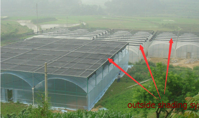 Panno dell'ombra dell'orto dell'azienda agricola di orticoltura per l'anti tasso d'ombreggiatura del sole 60%