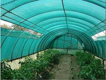 Dark Green Fruit And Seedbed Sun Shade Net High Tensile Strength Shading Rate 70%