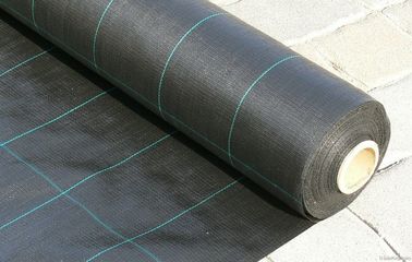 Porcellana Copertura al suolo di plastica tessuta polipropilene, tessuto del giardino del nero 100gsm di 4.2x100m fabbrica
