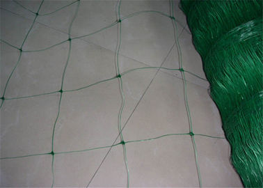 Porcellana Il tipo rete dell&#039;estrusione di sostegno della pianta usata per la verdura delle viti pota la maglia di 24x24cm fabbrica