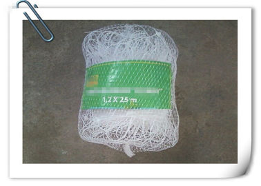 Porcellana Rete bianca rampicante di plastica di sostegno del cetriolo di verde della rete di sostegno della pianta fabbrica